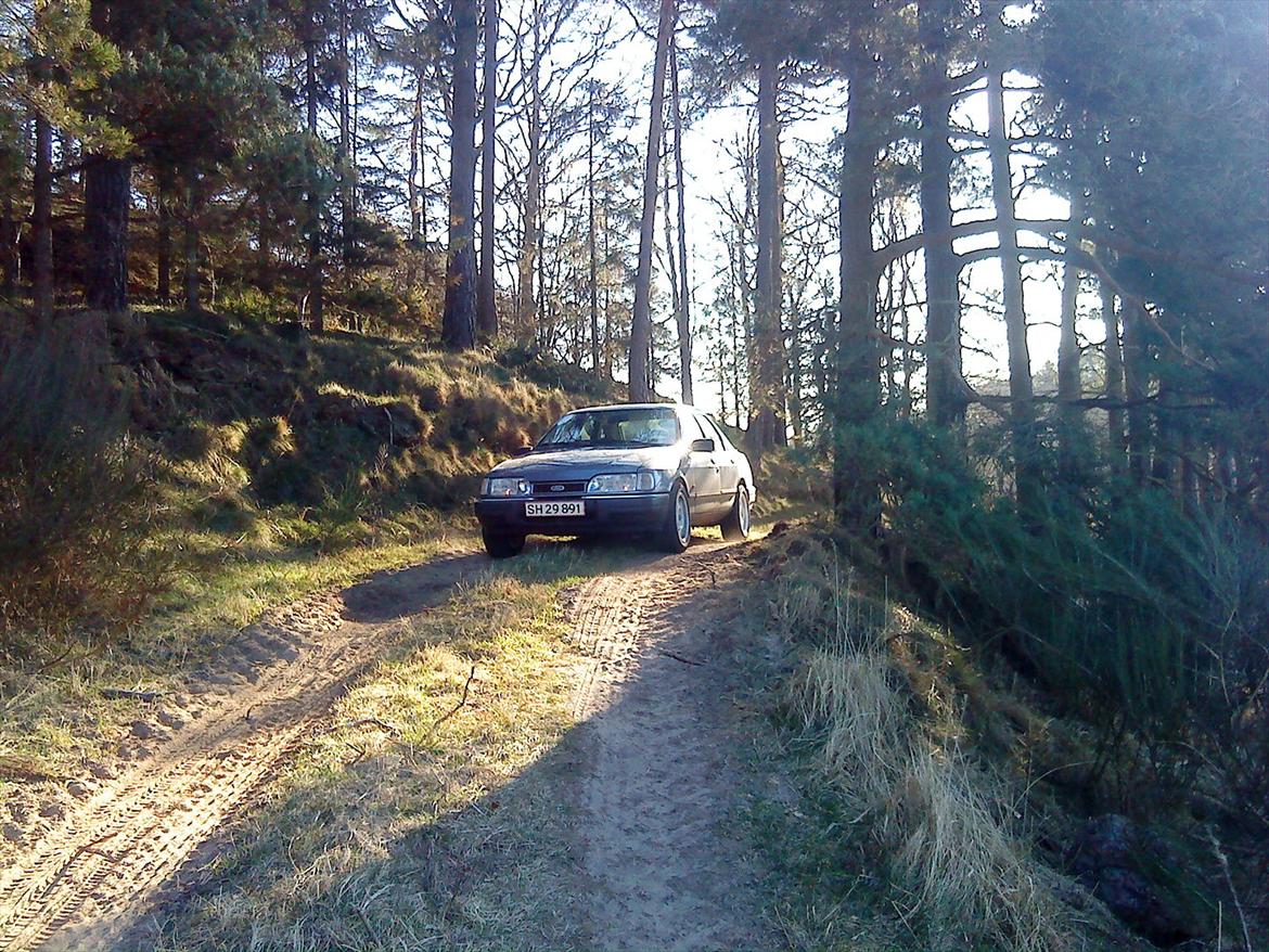 Ford sierra billede 17