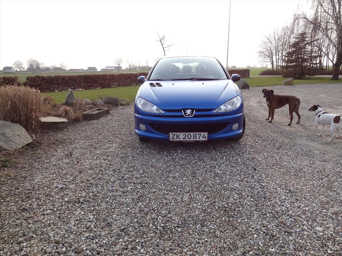 Peugeot 206 HDI billede 4