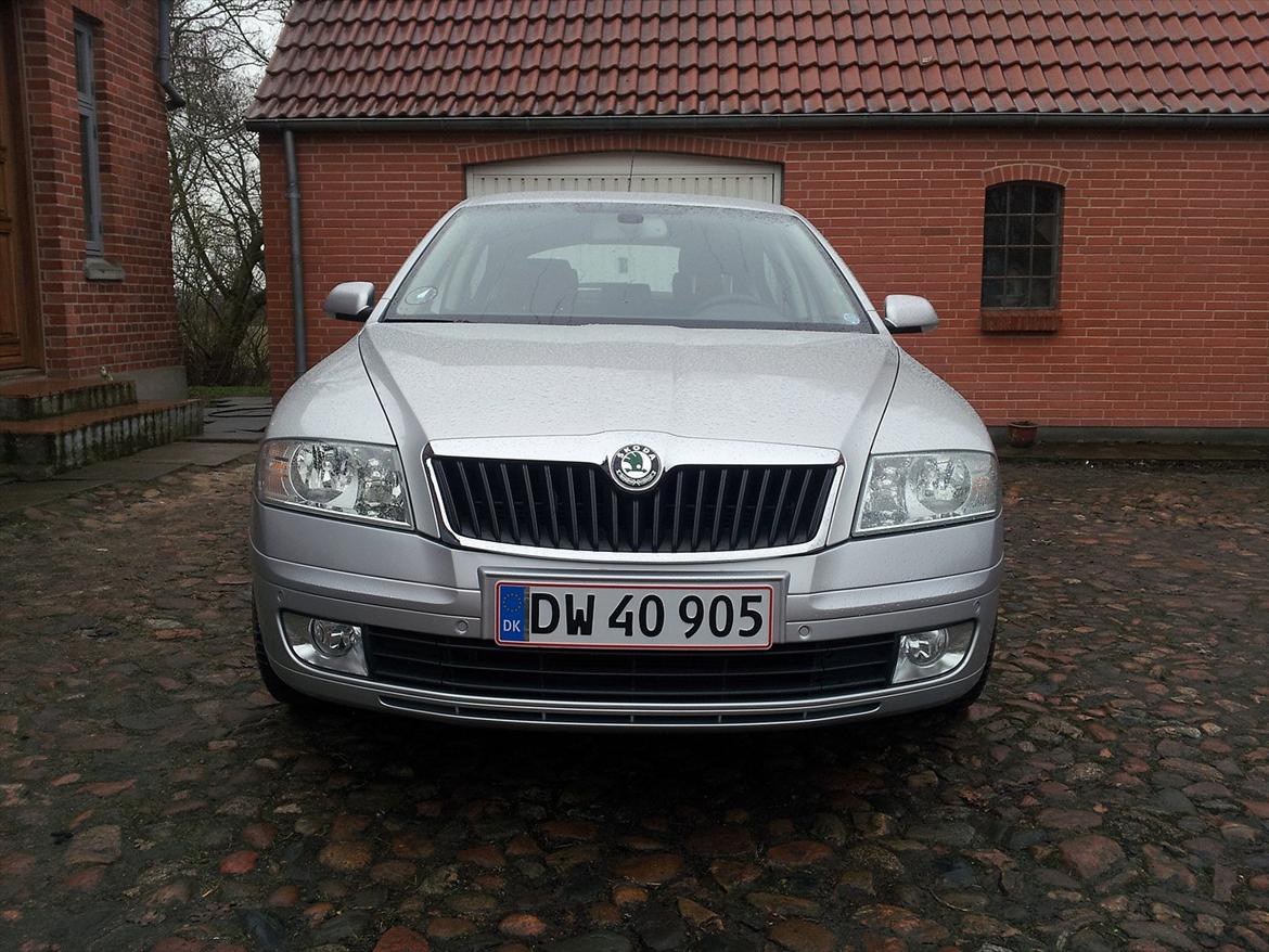 Skoda Octavia TDI billede 3