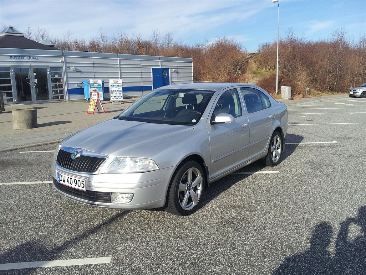 Skoda Octavia TDI - På vej hjem med den billede 8