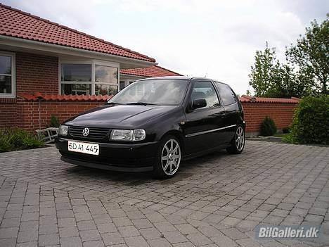 VW Polo SOLGT - før en lille polering billede 8