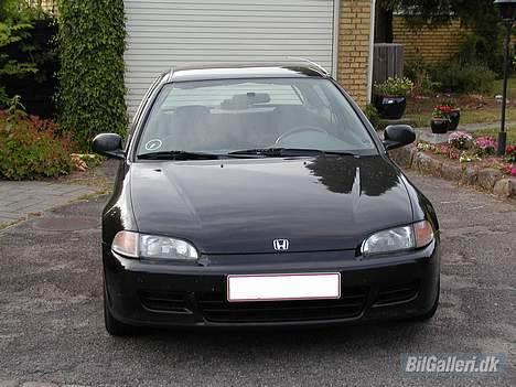 Honda Civic - Også lige forfra.. billede 2