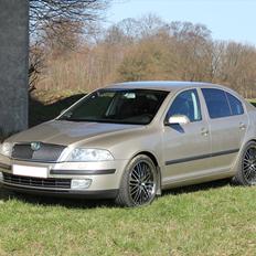Skoda Octavia II 2.0TDI Elegance (SOLGT)
