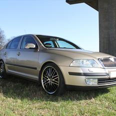 Skoda Octavia II 2.0TDI Elegance (SOLGT)