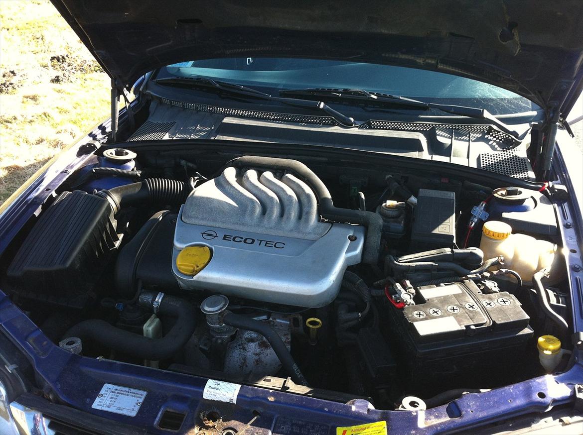 Opel vectra b billede 14