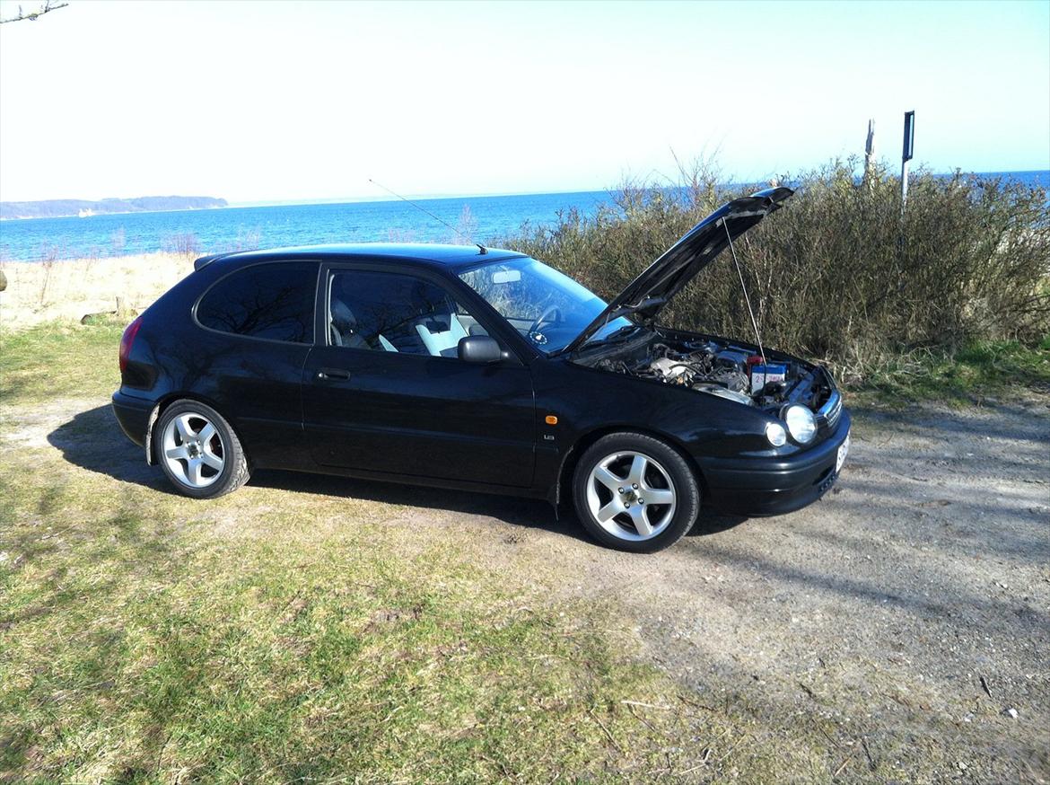 Toyota Corolla E11 billede 12