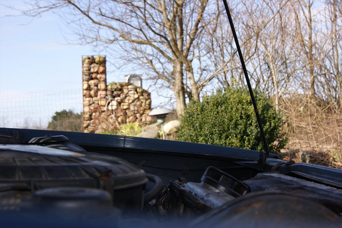 VW Polo Hit (Madam Blå) billede 20