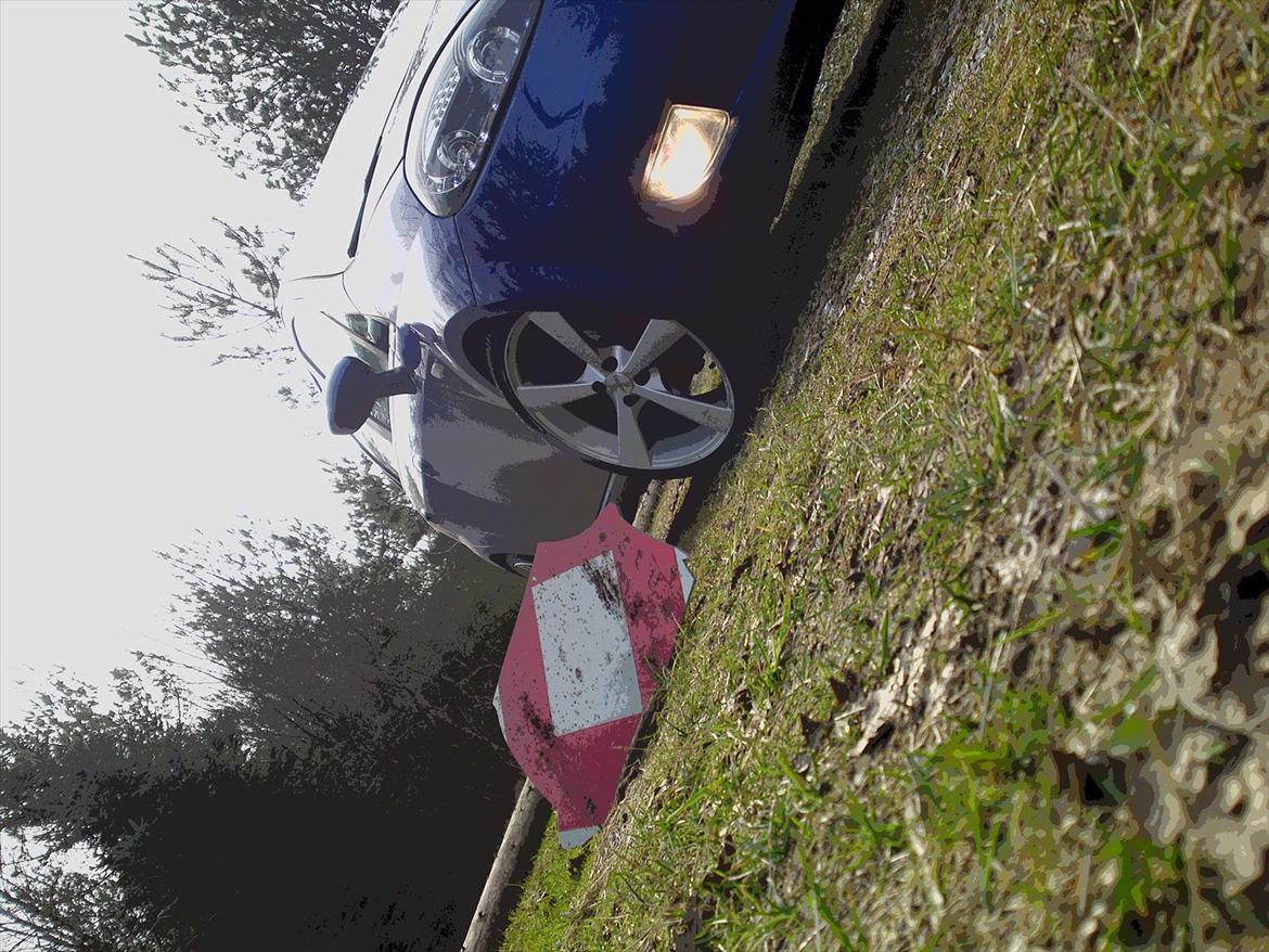 Fiat Grande punto - Nanna (SOLGT) billede 12