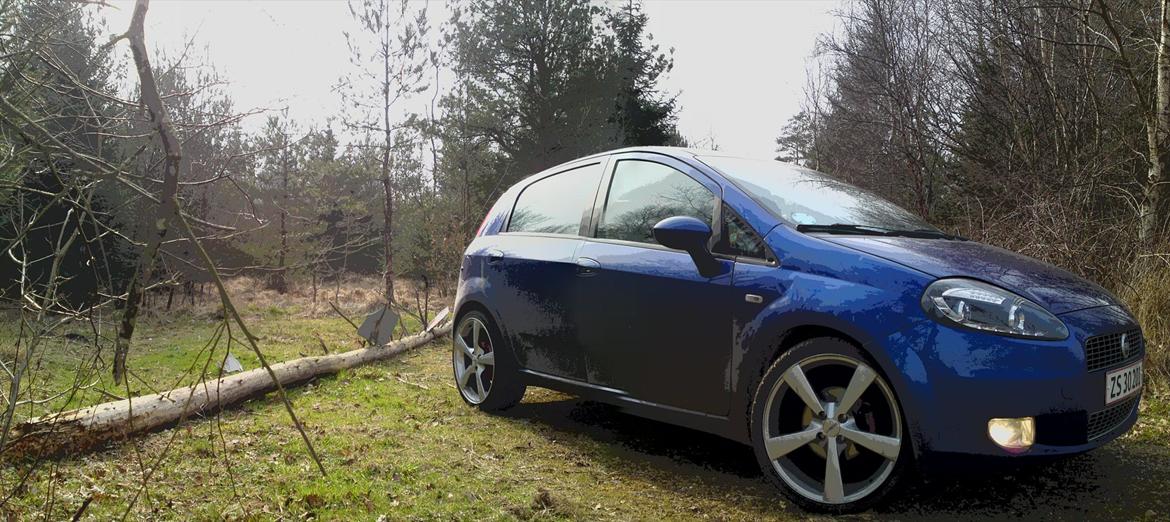 Fiat Grande punto - Nanna (SOLGT) billede 13