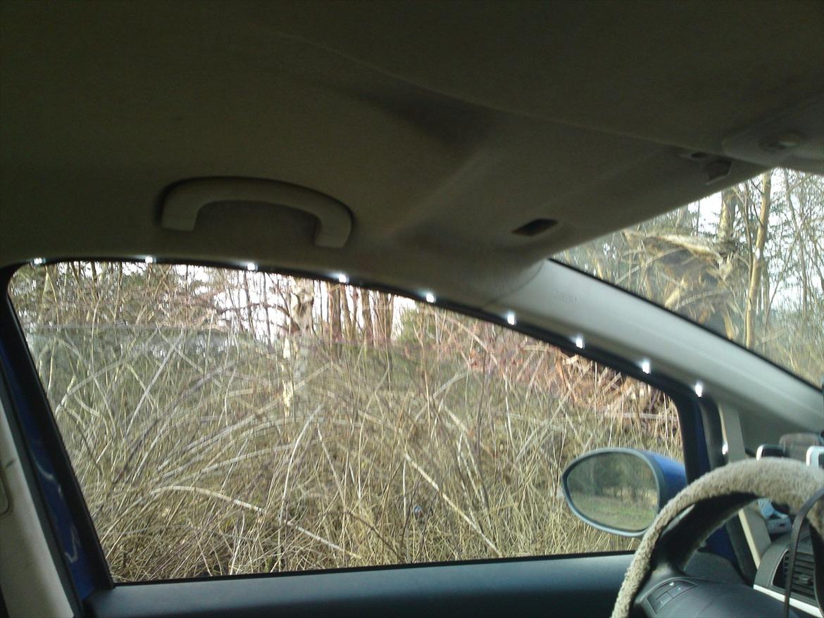 Fiat Grande punto - Nanna (SOLGT) billede 14