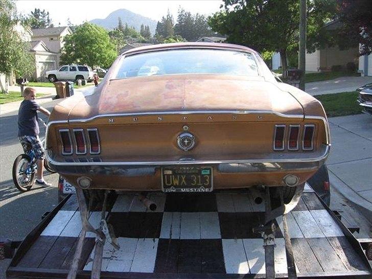 Ford Mustang Fastback billede 3