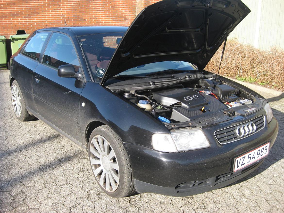 Audi A3 1,6 Ambition billede 11