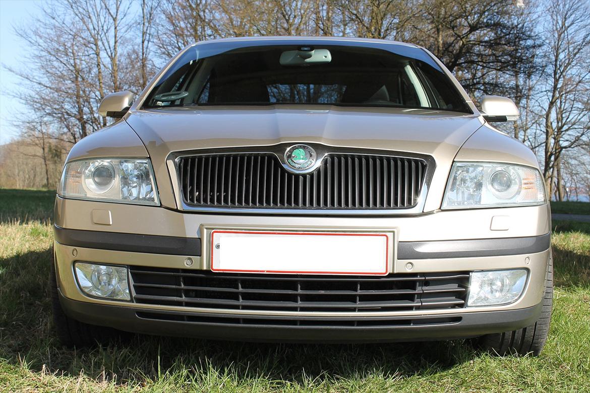 Skoda Octavia II 2.0TDI Elegance (SOLGT) billede 2