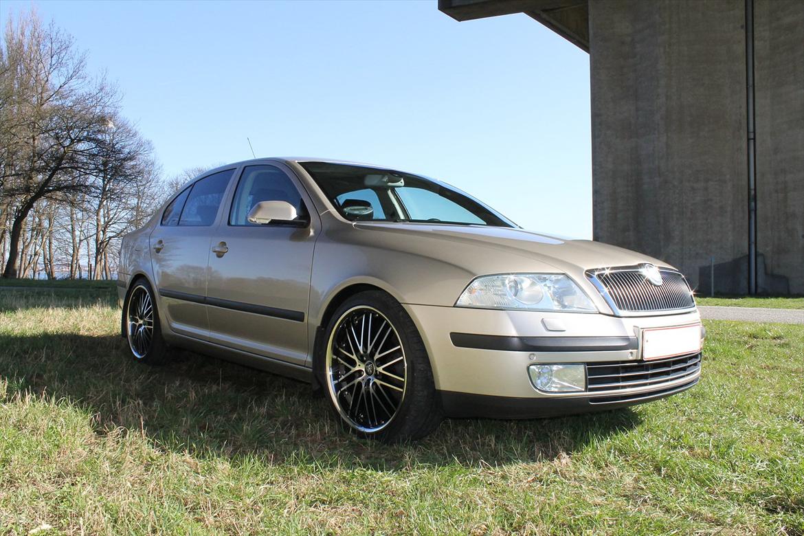 Skoda Octavia II 2.0TDI Elegance (SOLGT) billede 3