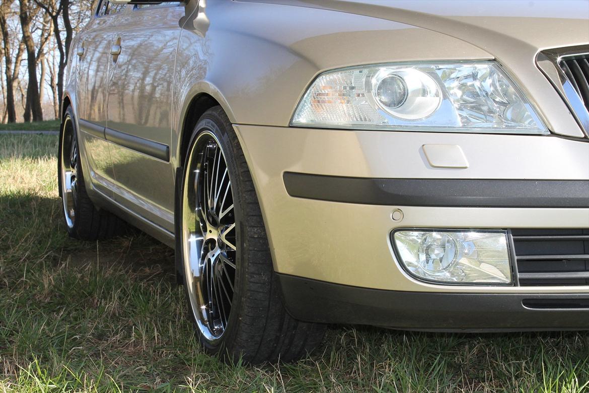 Skoda Octavia II 2.0TDI Elegance (SOLGT) billede 4