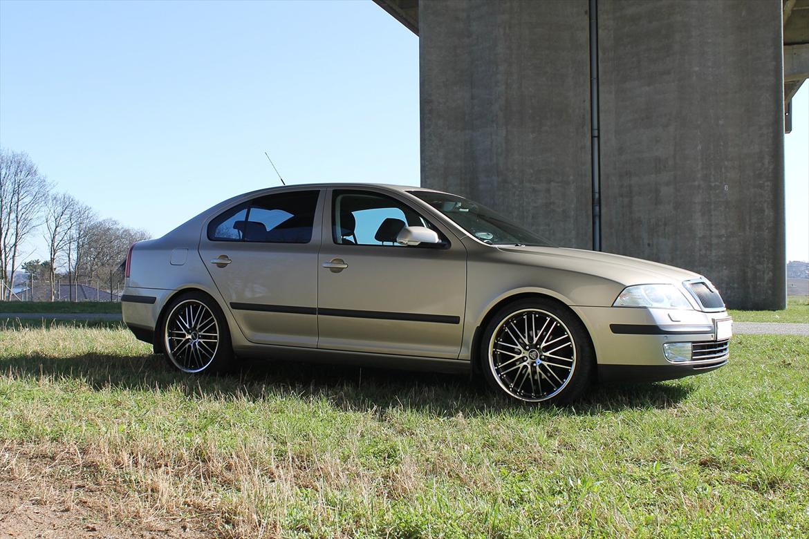 Skoda Octavia II 2.0TDI Elegance (SOLGT) billede 5