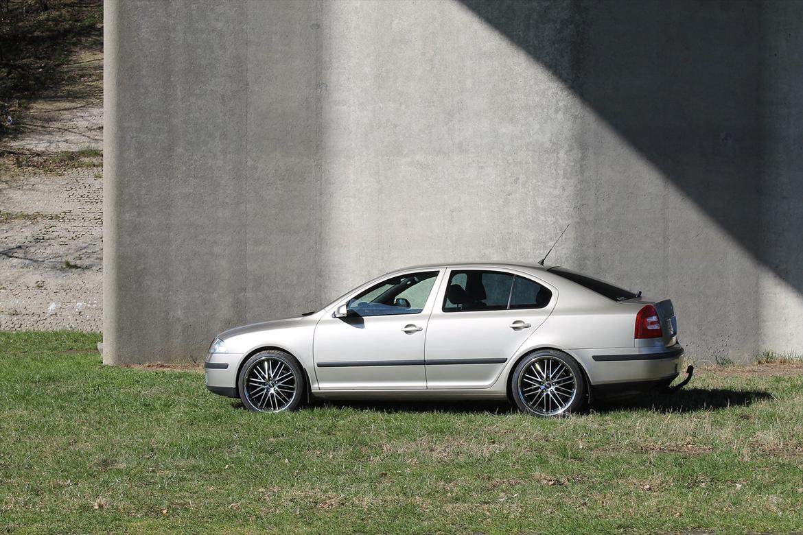 Skoda Octavia II 2.0TDI Elegance (SOLGT) billede 8