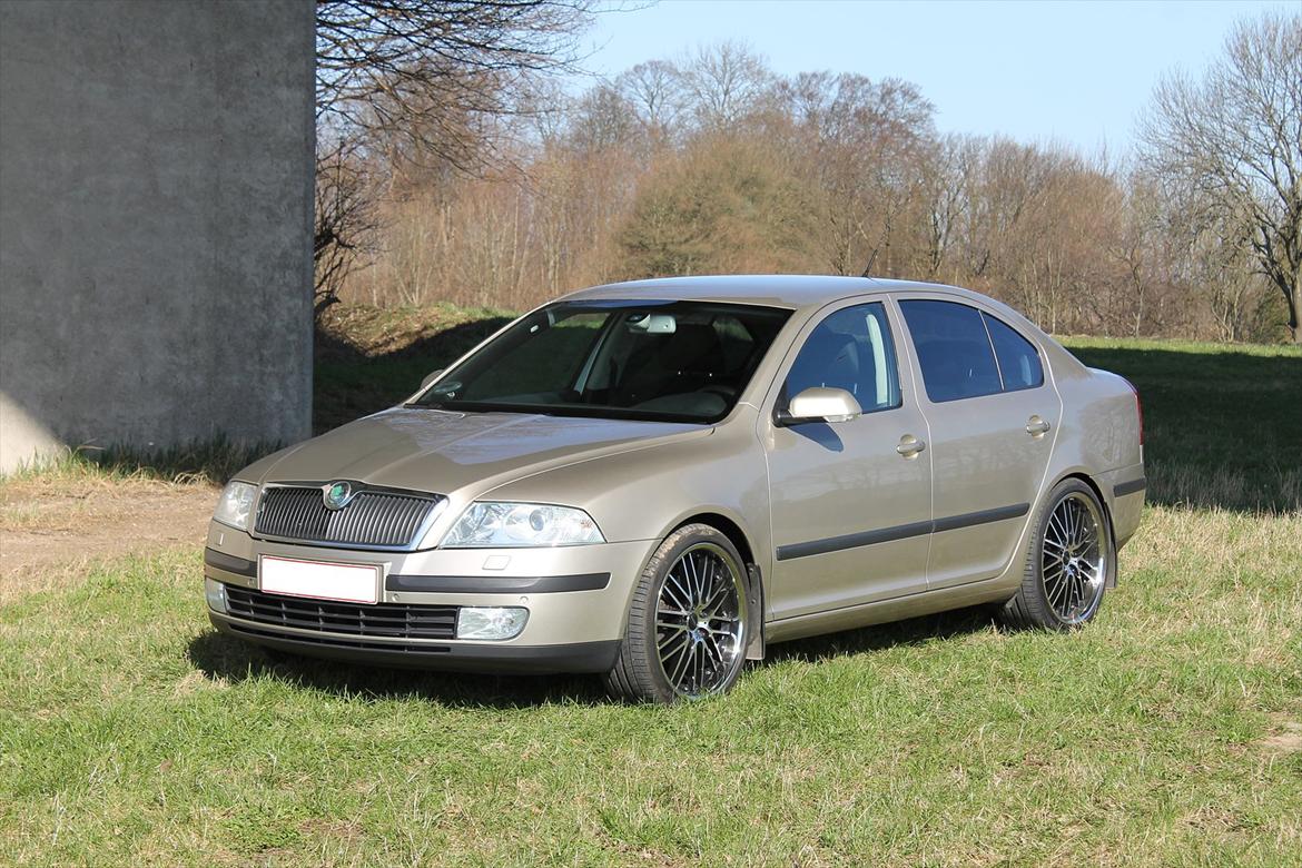 Skoda Octavia II 2.0TDI Elegance (SOLGT) billede 9