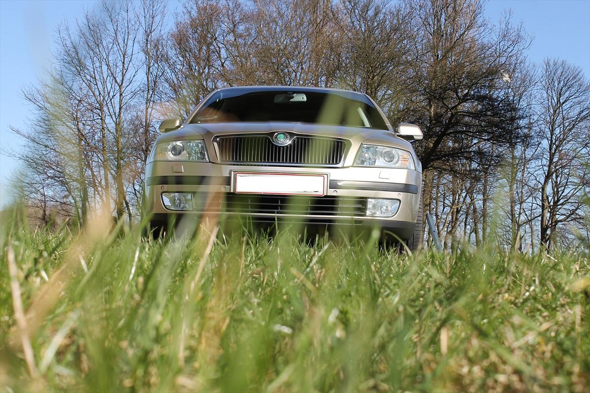 Skoda Octavia II 2.0TDI Elegance (SOLGT) billede 10