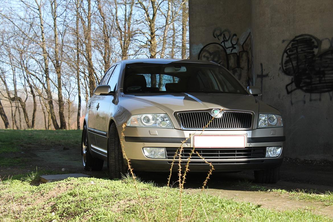 Skoda Octavia II 2.0TDI Elegance (SOLGT) billede 12