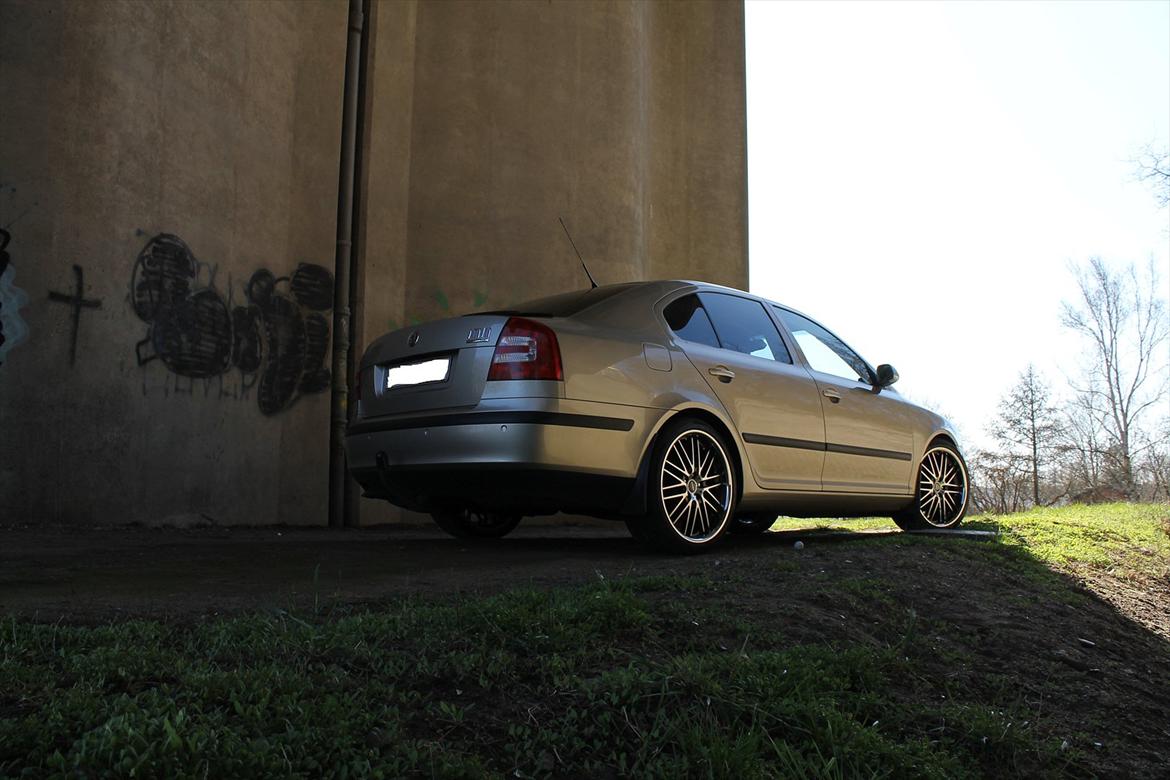 Skoda Octavia II 2.0TDI Elegance (SOLGT) billede 13