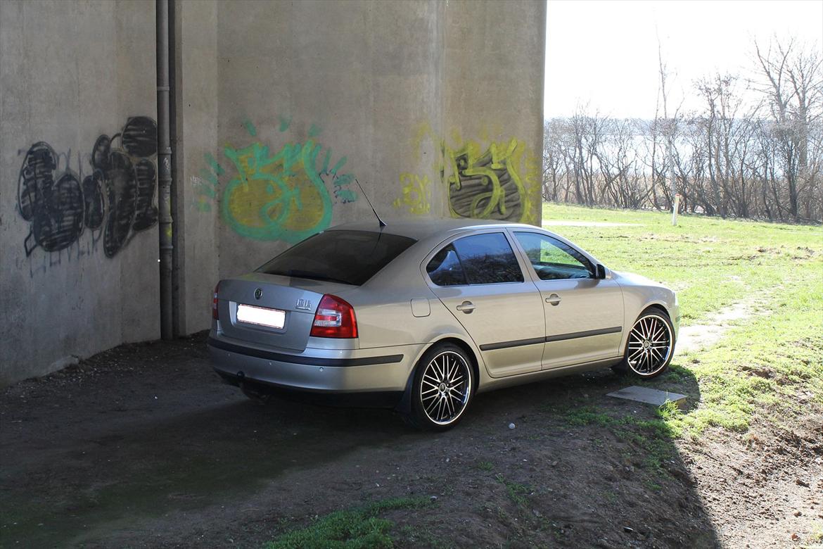 Skoda Octavia II 2.0TDI Elegance (SOLGT) billede 14