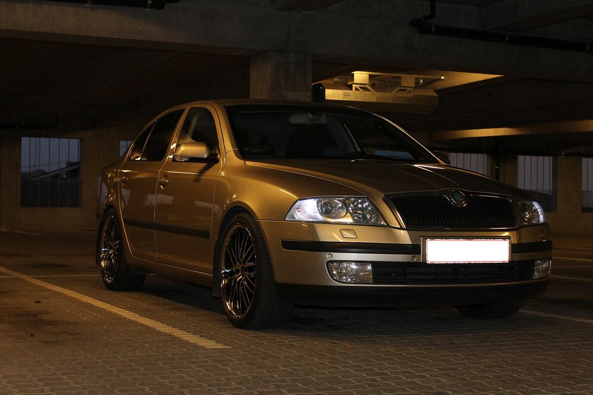 Skoda Octavia II 2.0TDI Elegance (SOLGT) billede 16