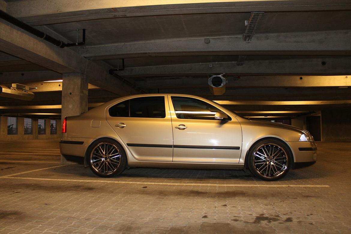 Skoda Octavia II 2.0TDI Elegance (SOLGT) billede 17