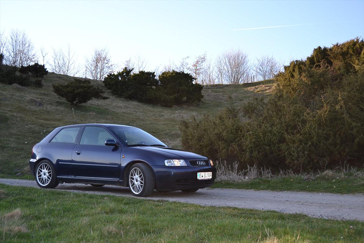 Audi A3 1,9 TDI billede 2