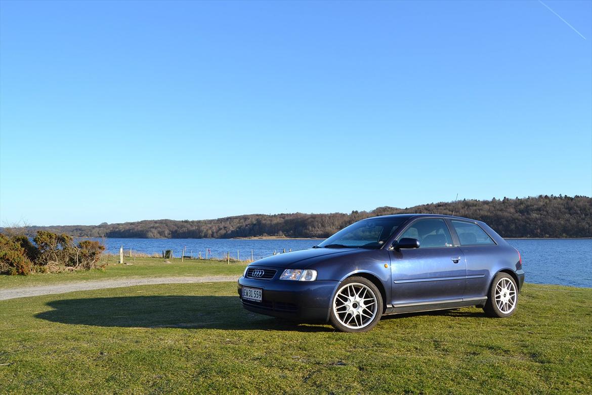 Audi A3 1,9 TDI billede 1