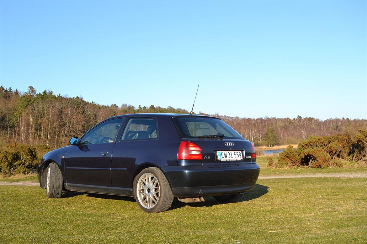 Audi A3 1,9 TDI billede 6