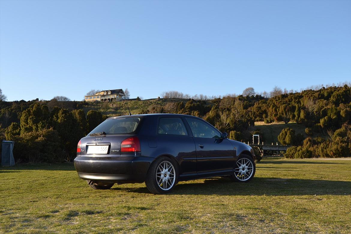 Audi A3 1,9 TDI billede 7