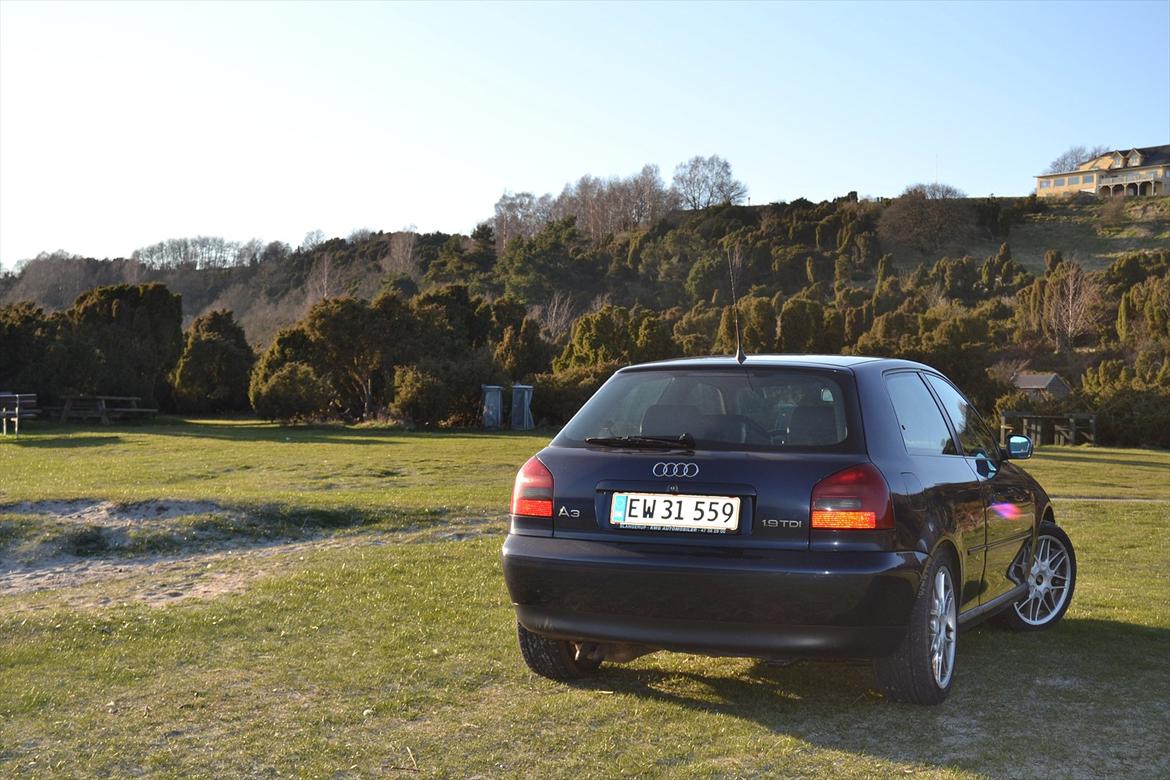 Audi A3 1,9 TDI billede 8