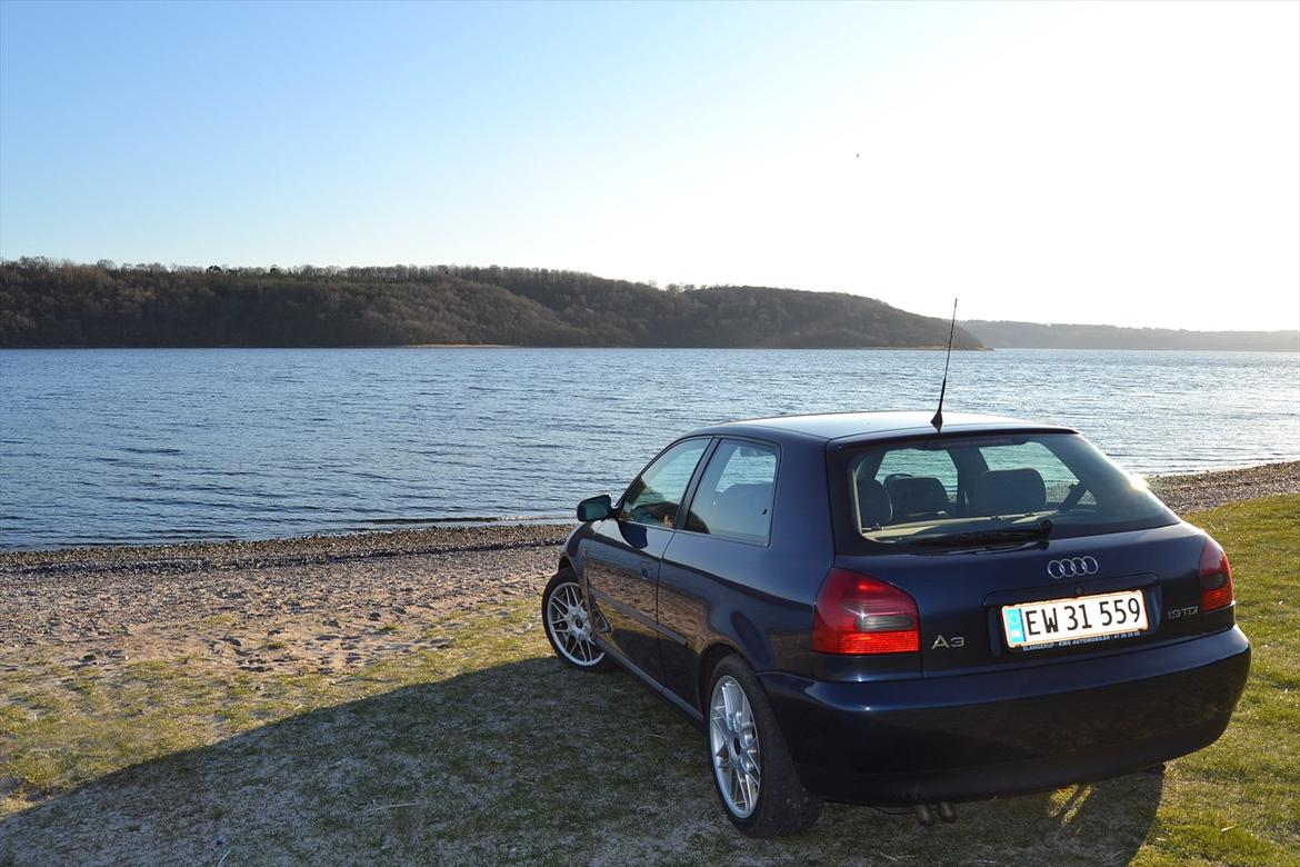 Audi A3 1,9 TDI billede 9