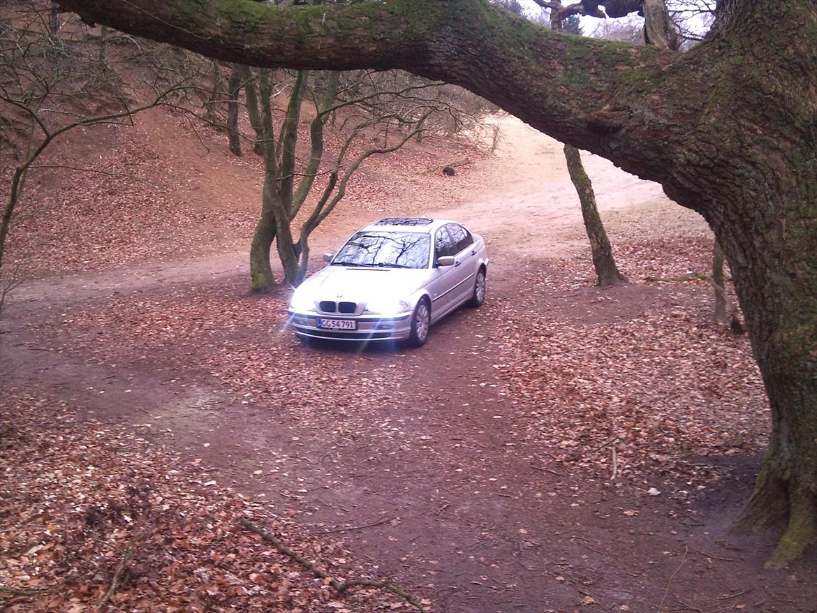 BMW e46 320d Totalskadet billede 1