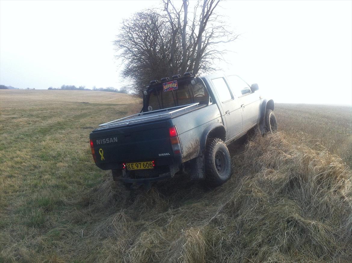 Nissan King Cab billede 3