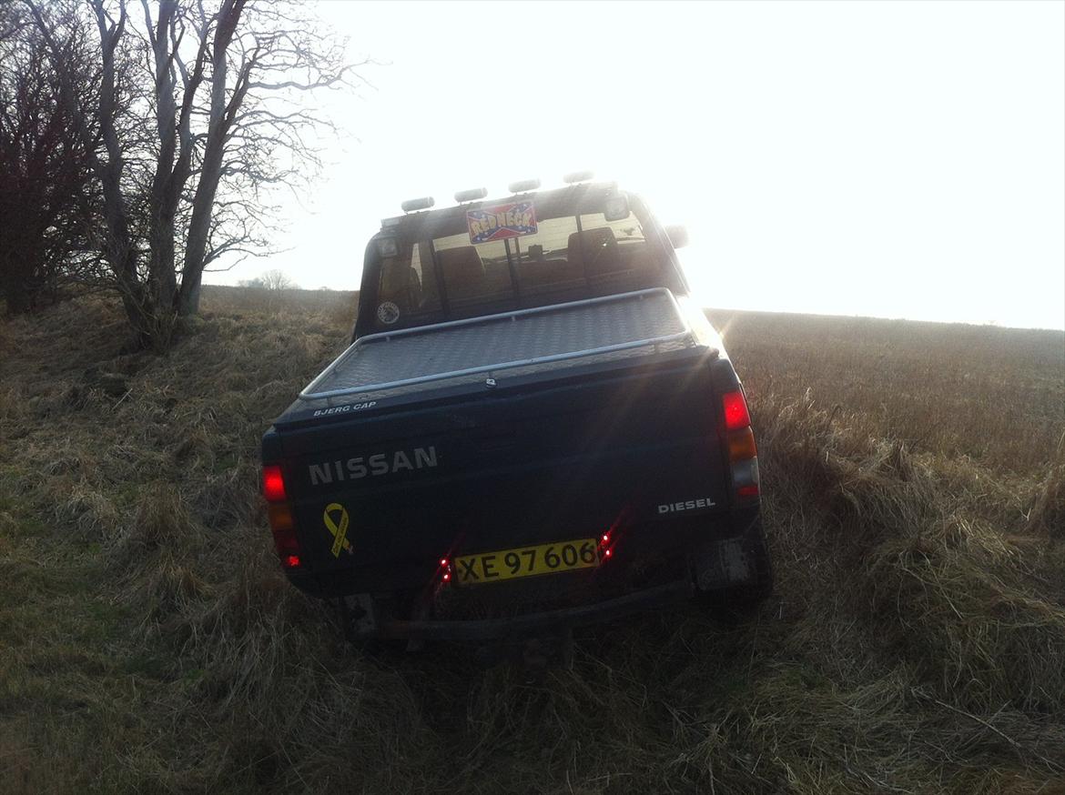 Nissan King Cab billede 6