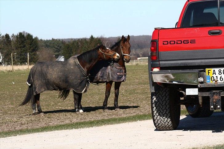 Dodge Ram 1500 4x4 billede 8