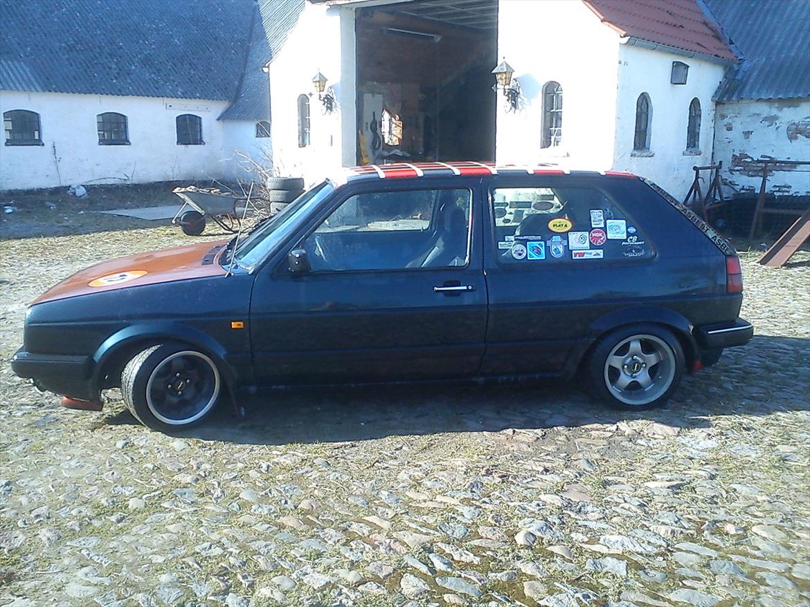 VW ørken rotten billede 4