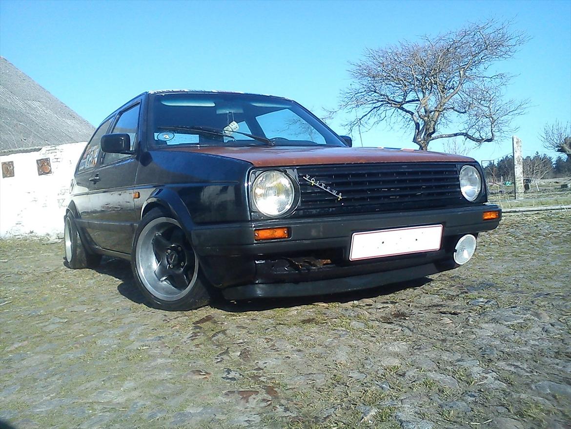 VW ørken rotten billede 1