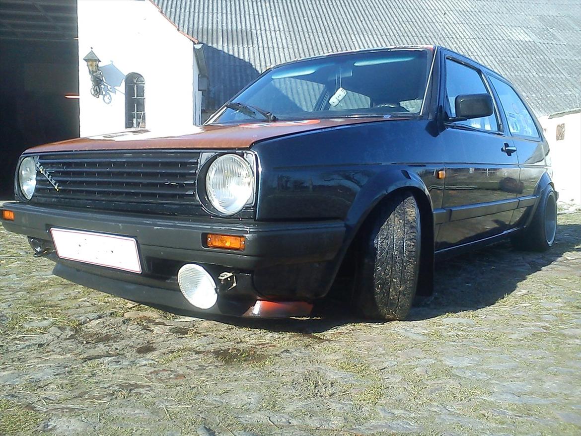 VW ørken rotten billede 2
