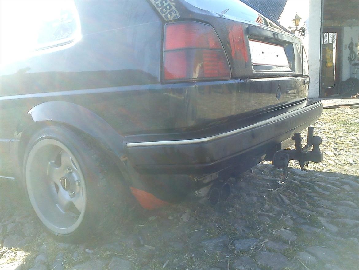 VW ørken rotten billede 6