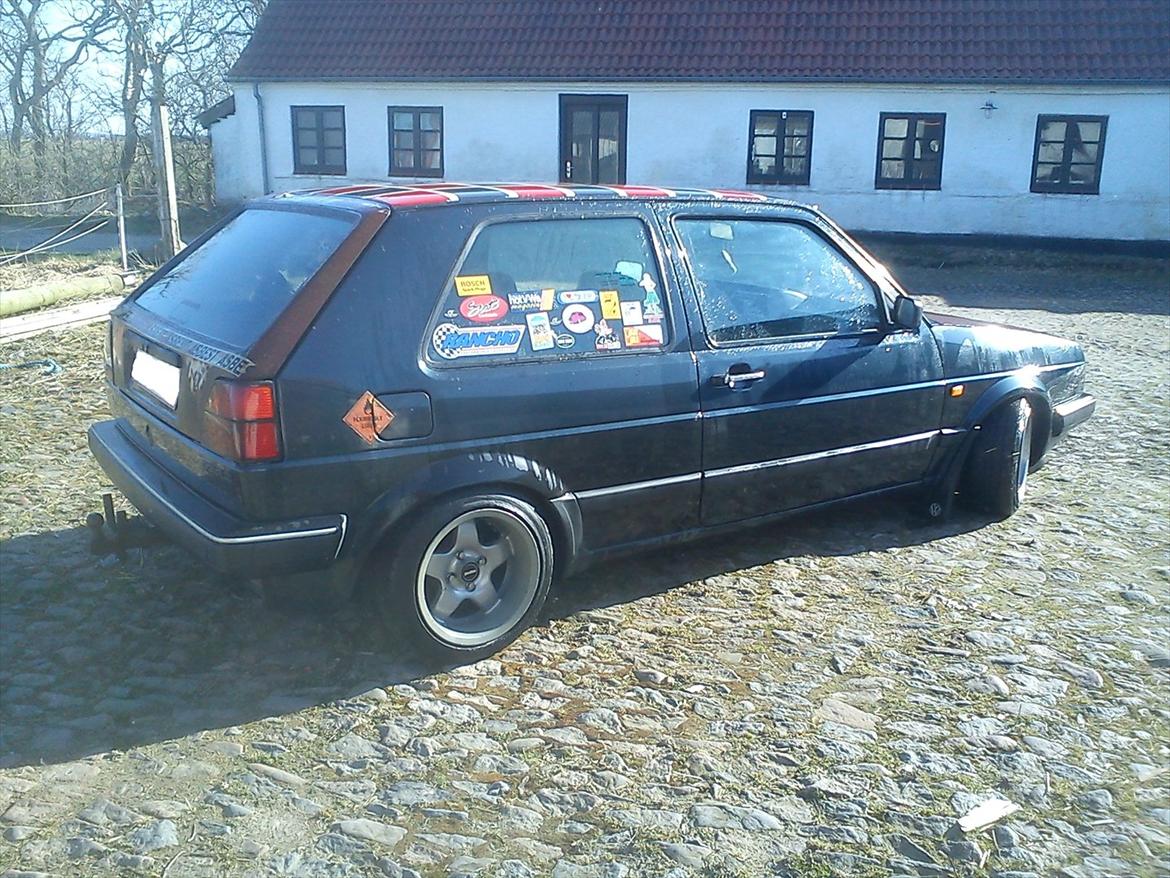 VW ørken rotten billede 5