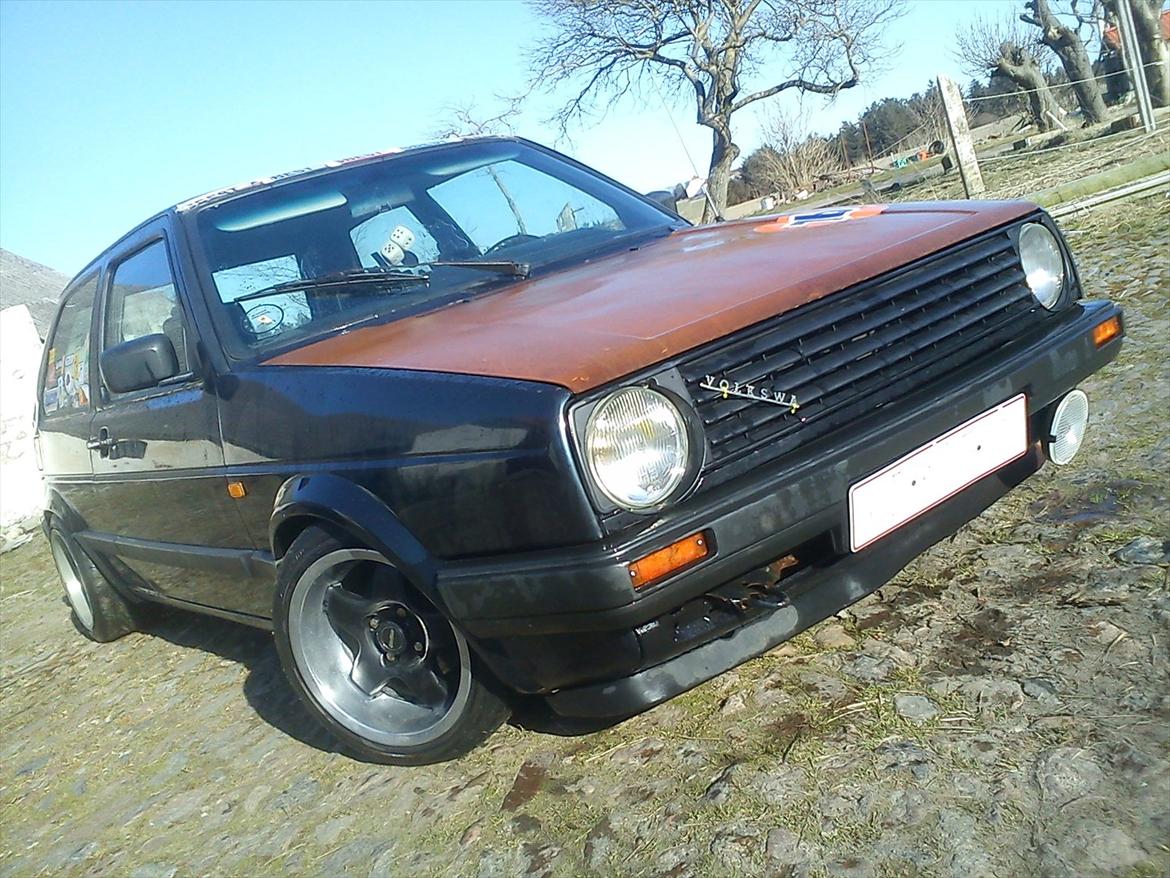 VW ørken rotten billede 3