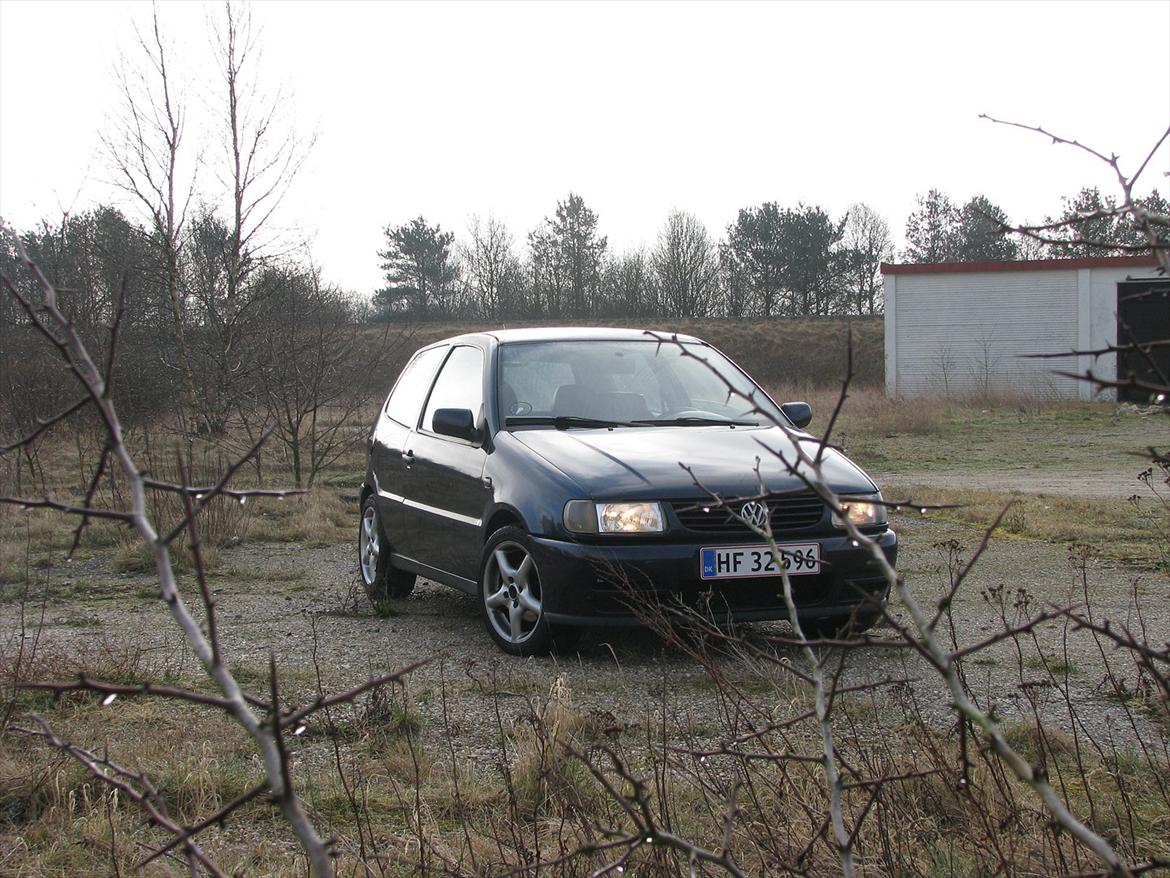 VW polo 6n billede 8
