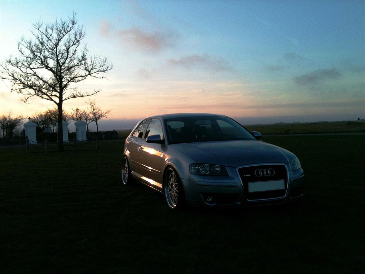 Audi A3 8p billede 5