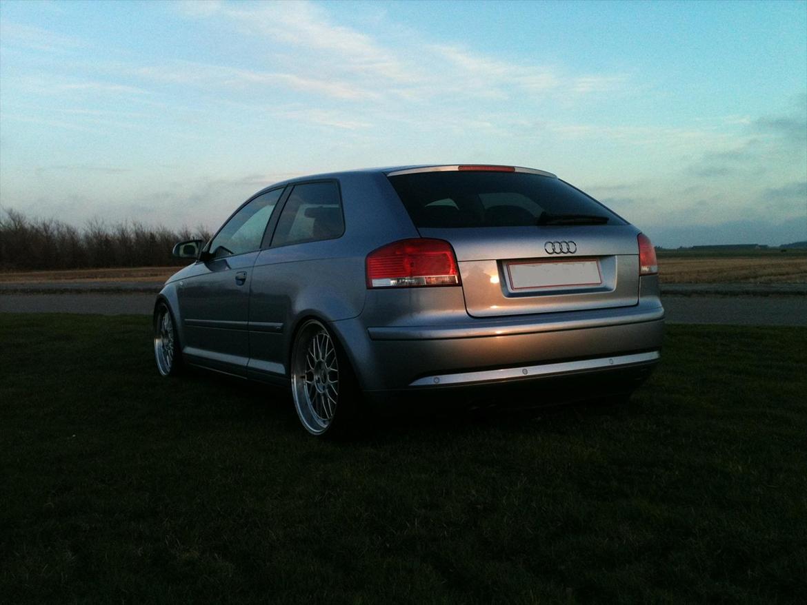 Audi A3 8p billede 6