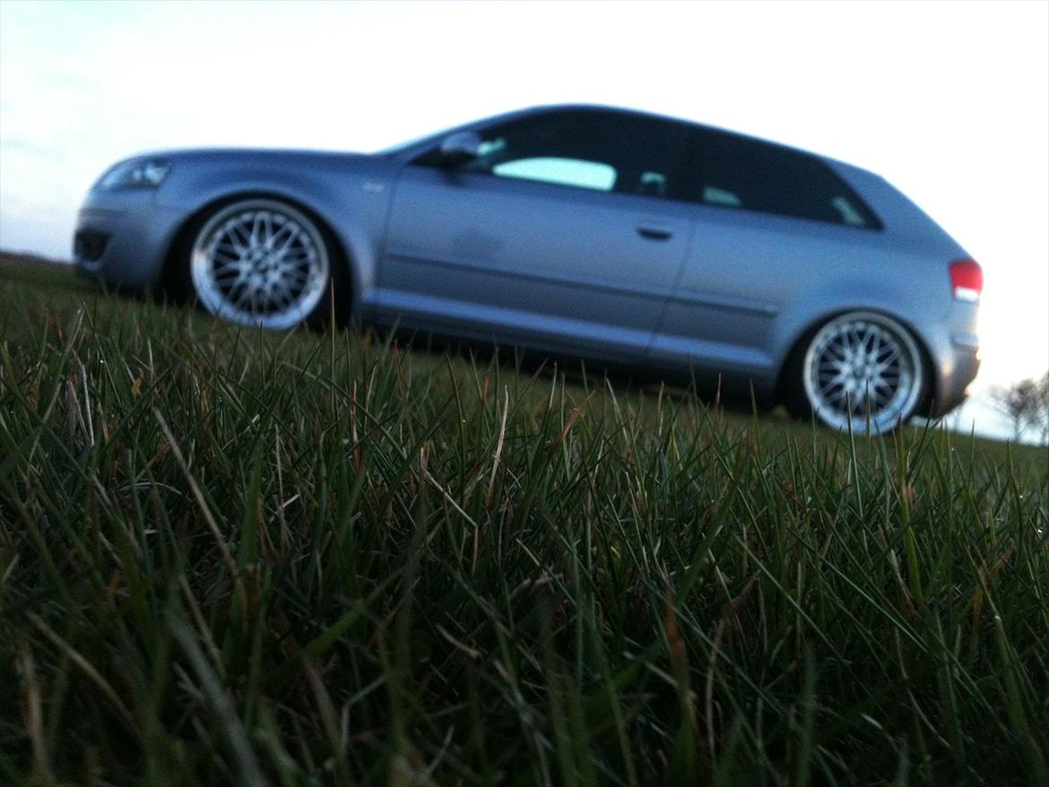 Audi A3 8p billede 2