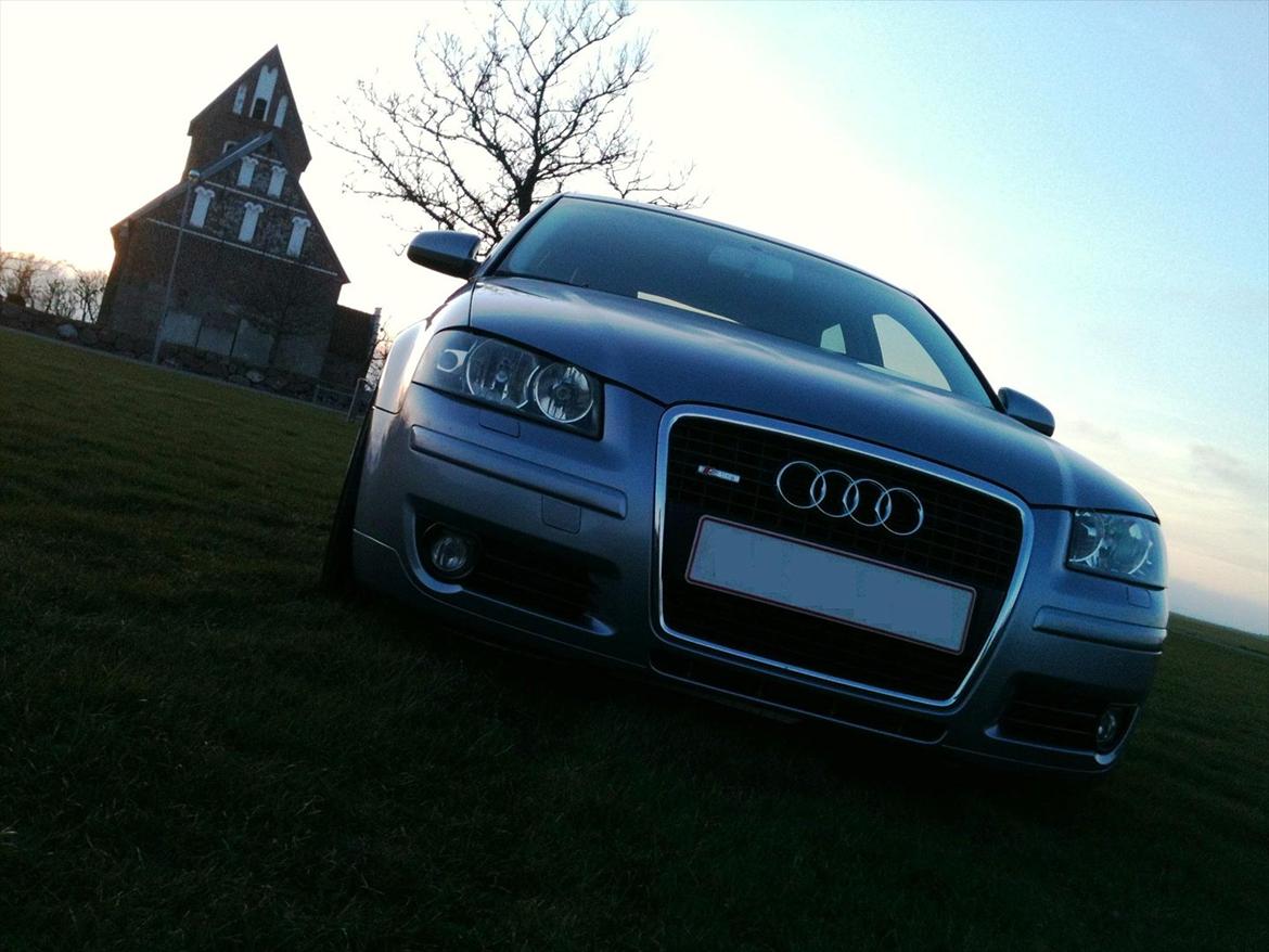 Audi A3 8p billede 9