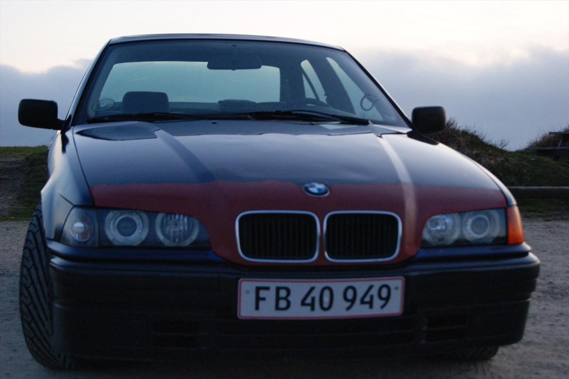 BMW E36 billede 6